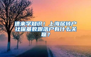 速来学知识！上海居转户社保基数跟落户有什么关联？