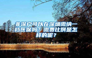 非深户可以在深圳缴纳一档医保吗？缴费比例是怎样的呢？