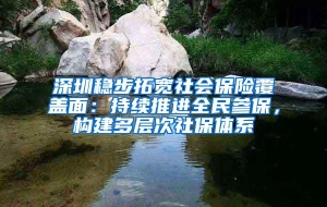 深圳稳步拓宽社会保险覆盖面：持续推进全民参保，构建多层次社保体系