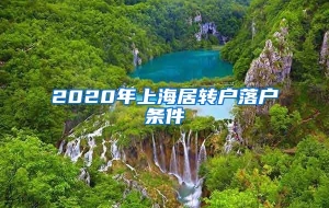 2020年上海居转户落户条件