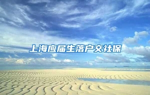 上海应届生落户交社保