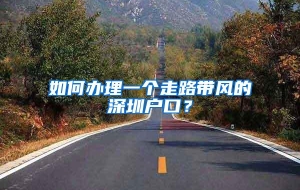 如何办理一个走路带风的深圳户口？