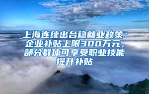 上海连续出台稳就业政策：企业补贴上限300万元，部分群体可享受职业技能提升补贴