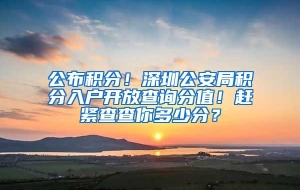 公布积分！深圳公安局积分入户开放查询分值！赶紧查查你多少分？