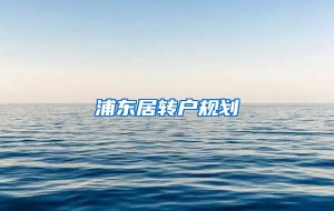 浦东居转户规划