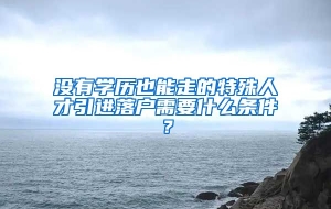 没有学历也能走的特殊人才引进落户需要什么条件？