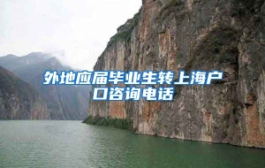 外地应届毕业生转上海户口咨询电话