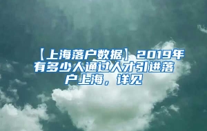 【上海落户数据】2019年有多少人通过人才引进落户上海，详见→