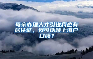 母亲办理人才引进我也有居住证，我可以转上海户口吗？