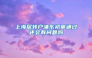 上海居转户浦东初审通过还会有问题吗