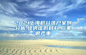 2021上海积分落户案例分析,提供虚假材料,后果很严重