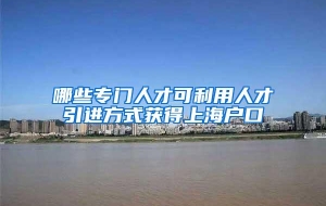 哪些专门人才可利用人才引进方式获得上海户口