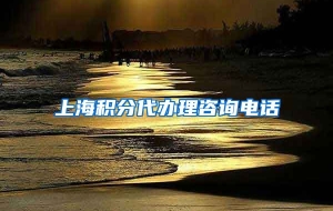 上海积分代办理咨询电话