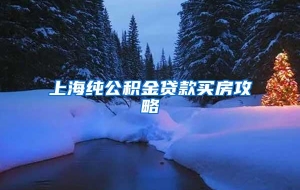 上海纯公积金贷款买房攻略