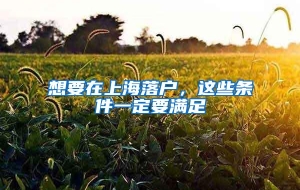 想要在上海落户，这些条件一定要满足