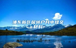 浦东新区居转户月中提交材料