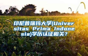 印尼普瑞玛大学(Universitas Prima Indonesia)学历认证相关？