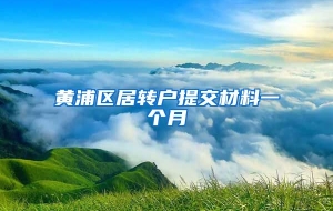 黄浦区居转户提交材料一个月