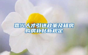 嘉兴人才引进政策及租房购房补贴新规定