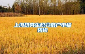 上海研究生积分落户申报咨询