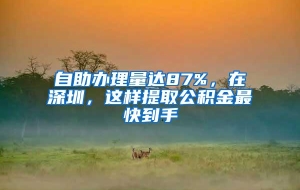 自助办理量达87%，在深圳，这样提取公积金最快到手