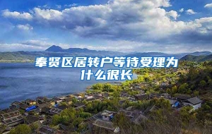 奉贤区居转户等待受理为什么很长