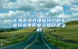 上海市可办理居转户的专业技术类职业资格目录.pdf