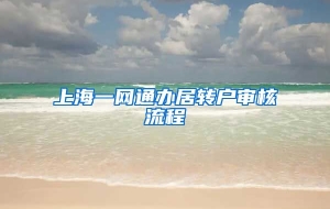 上海一网通办居转户审核流程