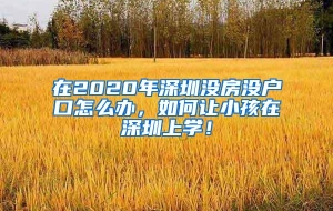 在2020年深圳没房没户口怎么办，如何让小孩在深圳上学！