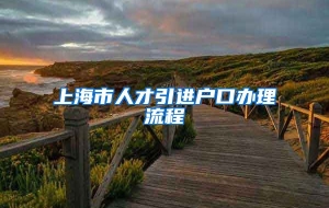 上海市人才引进户口办理流程