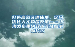 打造高效交通体系，定向优化人才购房政策……上海发布重磅政策支持临港新片区