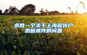 求教一个关于上海居转户激励条件的问题