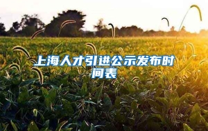 上海人才引进公示发布时间表